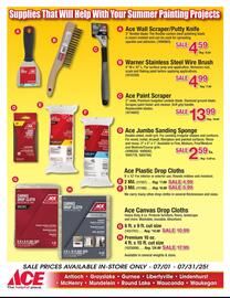 Ace Hardware Weekly Ad Page 9