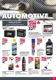 Co-op flyer Page 13