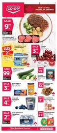 Co-op flyer Page 1