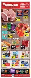 Foodland flyer Page 1