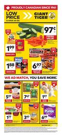 Giant Tiger flyer week 27 Page 1