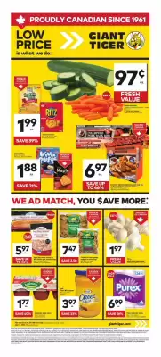 Giant Tiger flyer (valid until 8-07)