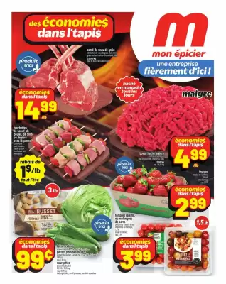 Metro flyer (valid until 9-07)