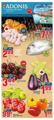 Marché Adonis flyer (valid until 9-07)