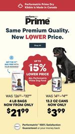 Paulmac's Pets flyer Page 8