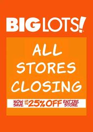 Big Lots Weekly Ad week 1 Page 1