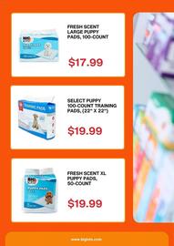 Big Lots Weekly Ad week 1 Page 3