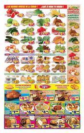 Savers Cost Plus Weekly Ad week 27 Page 4