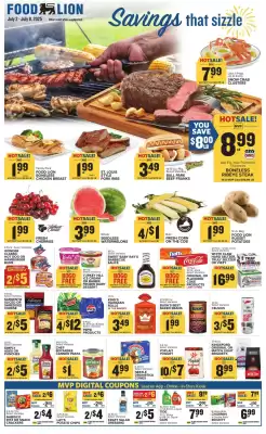 Food Lion Weekly Ad (valid until 8-07)