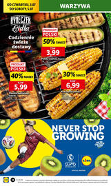 Lidl gazetka Strona 14