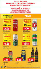 Lidl gazetka Strona 42