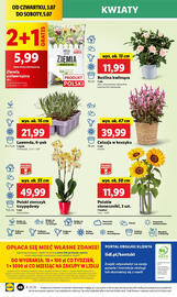 Lidl gazetka Strona 60