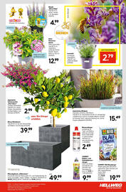 Hellweg Flugblatt woche 27 Seite 23