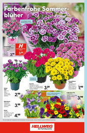 Hellweg Flugblatt woche 27 Seite 24