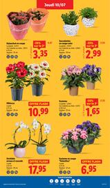 Catalogue Lidl semaine 28 page 29