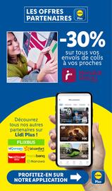 Catalogue Lidl semaine 28 page 31