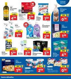 Volantino Lidl settimana 28 Pagina 15