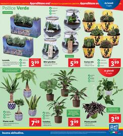 Volantino Lidl settimana 28 Pagina 33