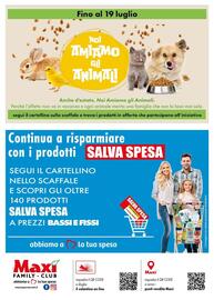 Volantino Maxi Family Pagina 8