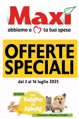 Volantino Maxi Supermercati