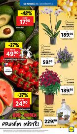 Lidl leták Strana 9