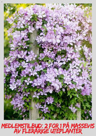 Plantasjen Kundeavis Side 10