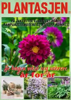 Plantasjen Kundeavis (gyldig til 24-07)