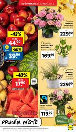 Lidl leták Strana 9