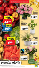 Lidl leták Strana 9