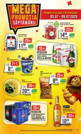 Catalog Mega Image săptămâna 27 Pagină 3