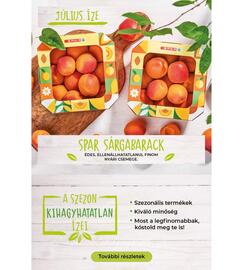 Interspar akciós újság hét 27 Oldal 15