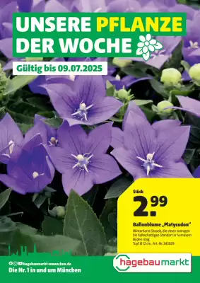 Hagebau Prospekt (gültig bis 10-07)