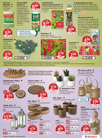 V Markt Prospekt woche 28 Seite 15