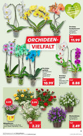 Kaufland Prospekt woche 27 Seite 5
