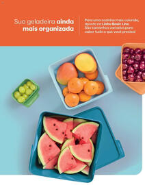 Catálogo Tupperware Página 74