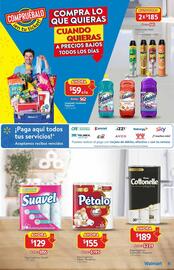 Catálogo Walmart Página 10