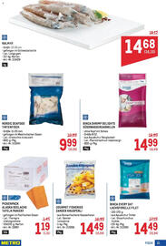 Metro Flugblatt Seite 21