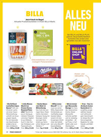 Billa Flugblatt Seite 10