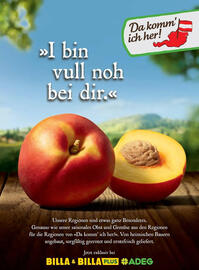 Billa Flugblatt Seite 167