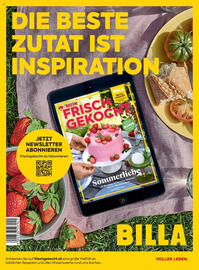 Billa Flugblatt Seite 168