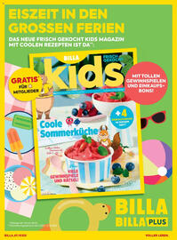 Billa Flugblatt Seite 66