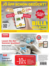 Billa Flugblatt Seite 8
