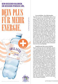 dm Flugblatt Seite 110