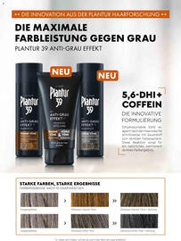 dm Flugblatt Seite 111