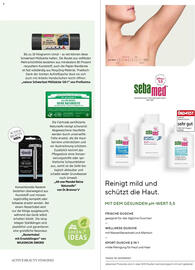 dm Flugblatt Seite 115