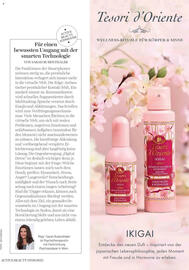dm Flugblatt Seite 47