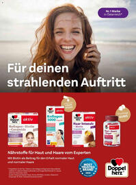 dm Flugblatt Seite 92