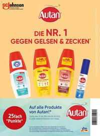 dm Flugblatt Seite 95