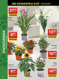 Delikatesy Centrum gazetka tydzień 27 Strona 16