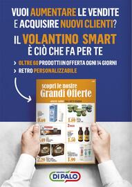 Volantino Gruppo di Palo Pagina 40